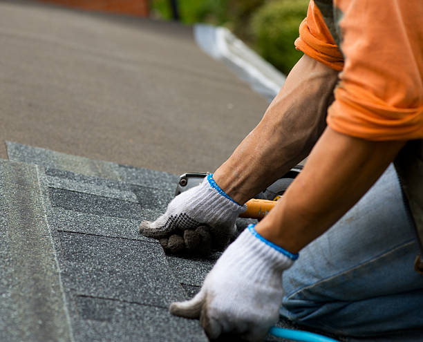Best Metal Roofing Contractor  in Occidental, CA